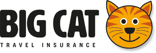 Big Cat Insurance @budgetbro.app