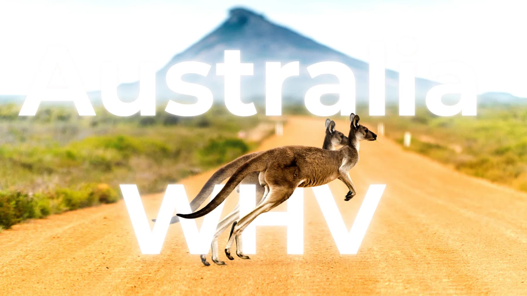 Asutralia WHV  BudgetBro.png | BudgetBro