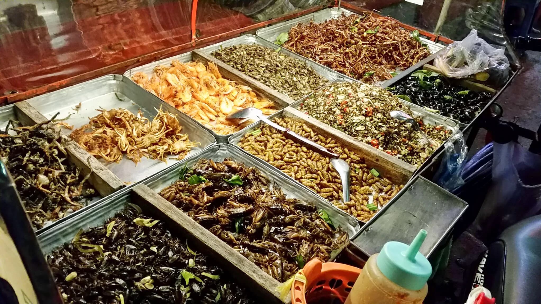 Insects and Street Food in Thailand | BudgetBro