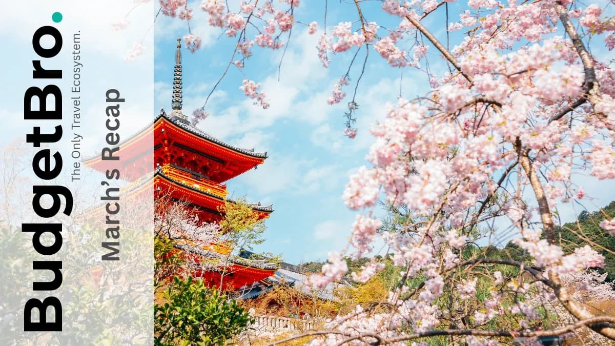 BudgetBro Founder March Recap