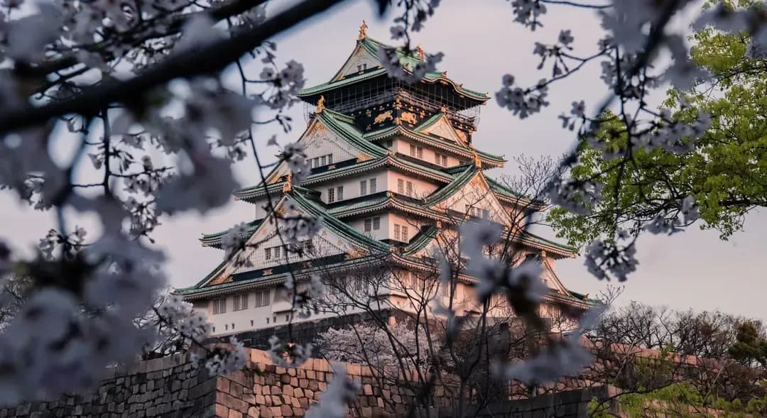 Japan | BudgetBro