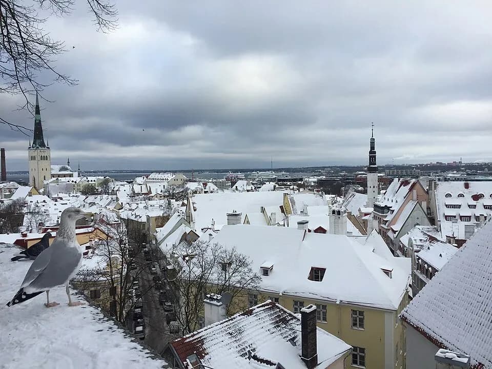 Snow on the rooftops of Tallinn Old Town | BudgetBro
