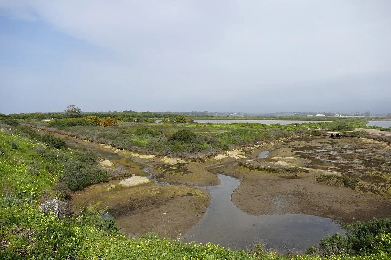 The Ria Formosa lagoon and salt marshes outside Faro | BudgetBro 