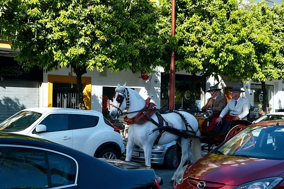 Seville