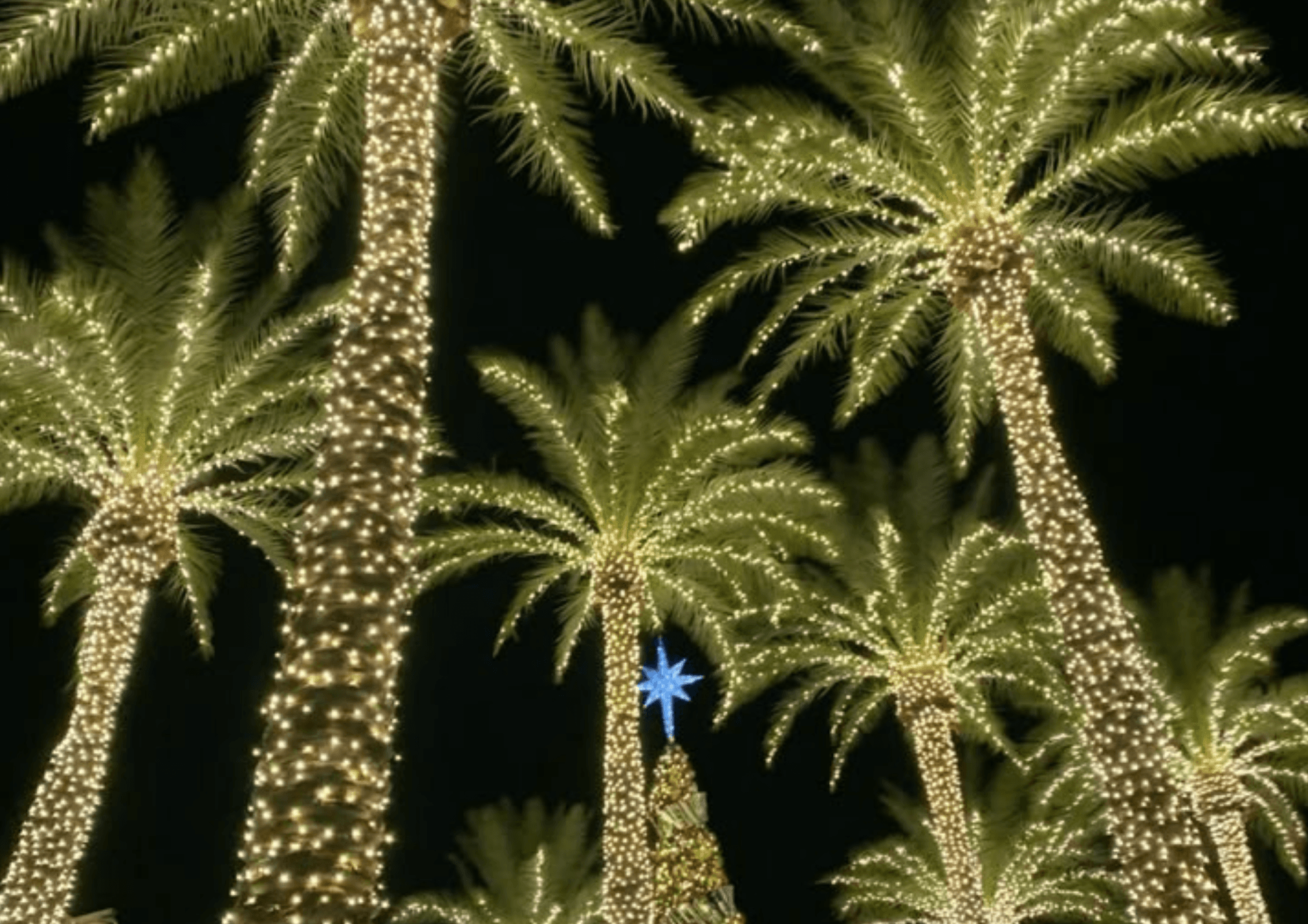 natal iluminado sudeste asiatico