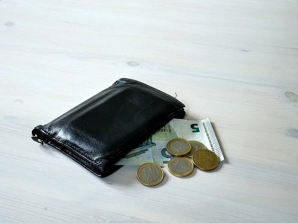 A black leather wallet on a wooden table with a five euro note and euro coins spilling out | BudgetBro