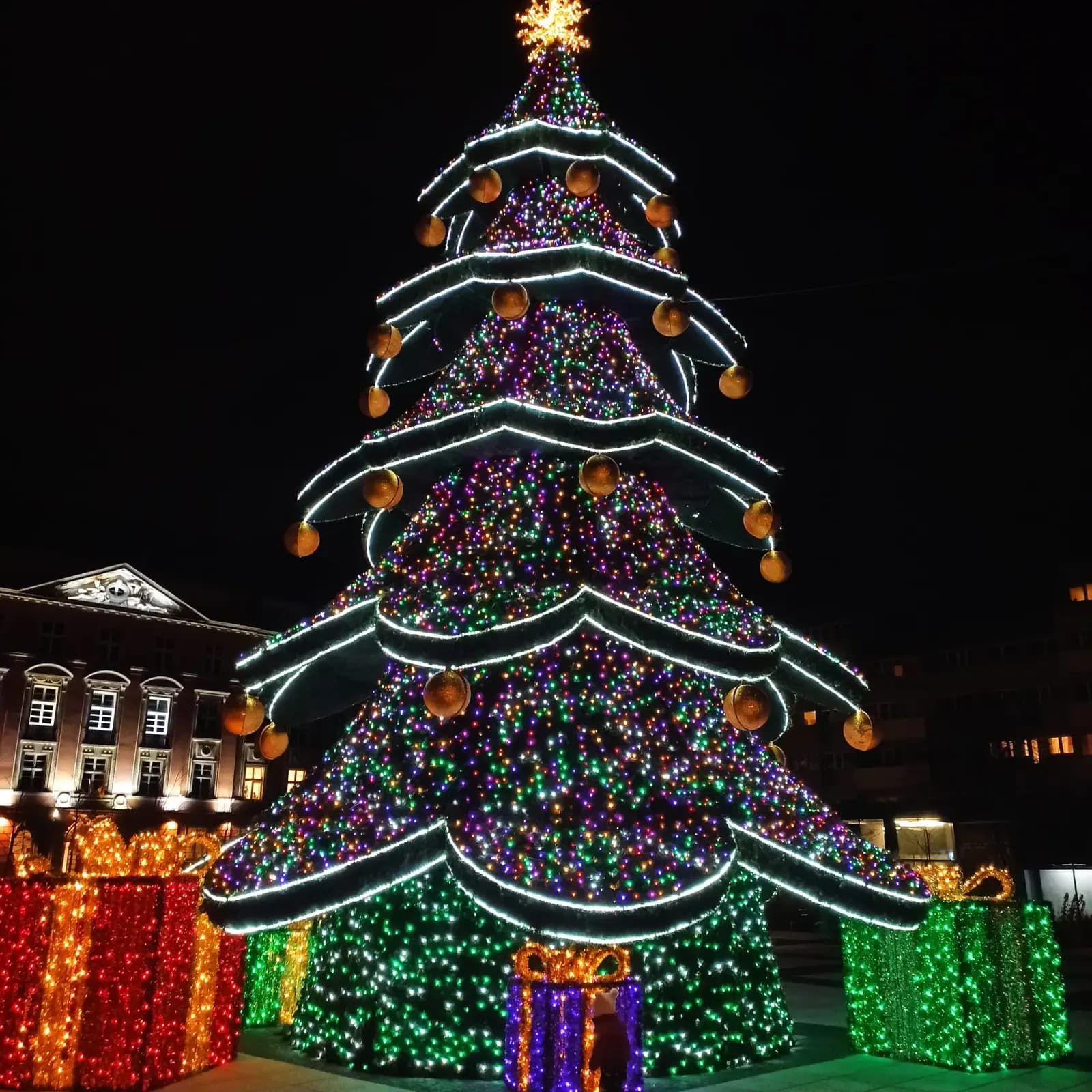 Giant lit Christmas tree at the Wrocław Christmas market at night | BudgetBro