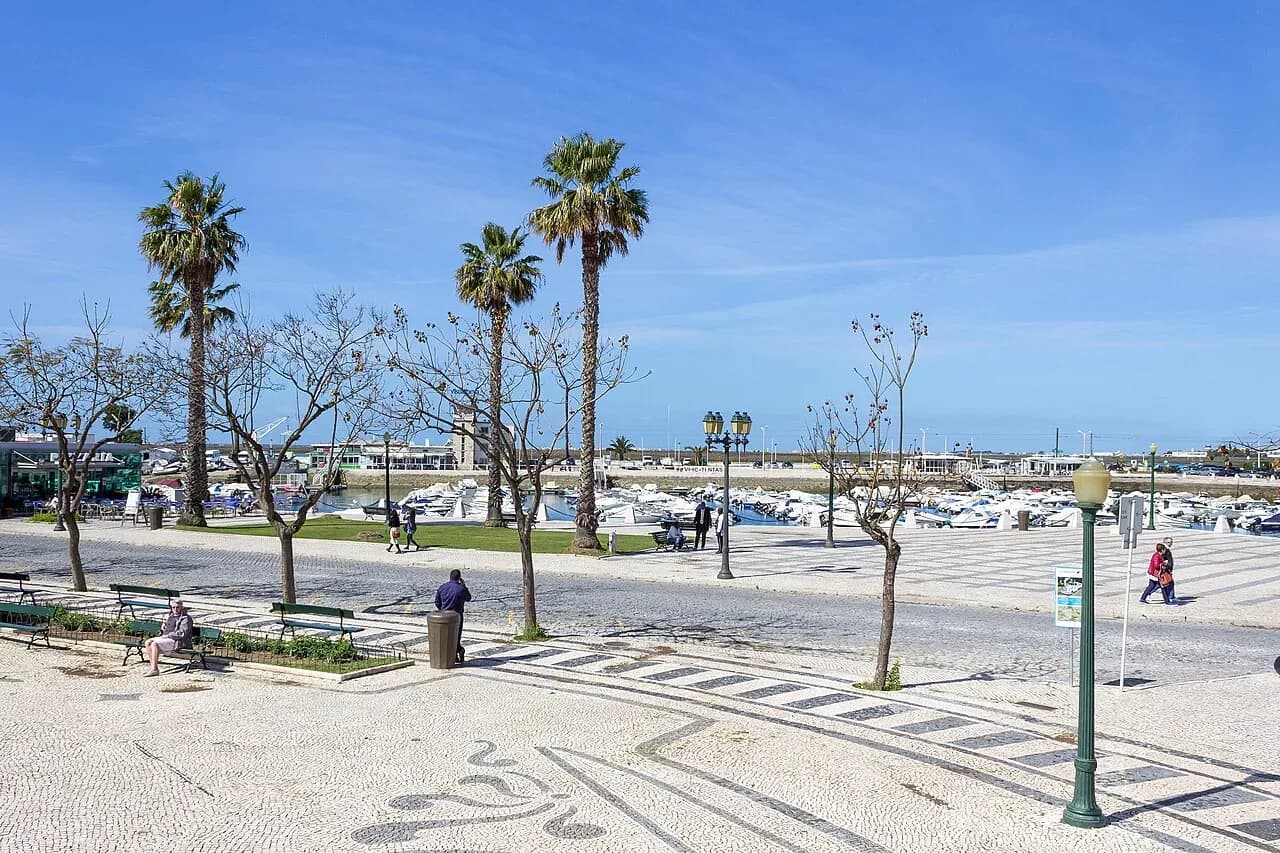 Palm trees and patterned paving by Faro marina | BudgetBro