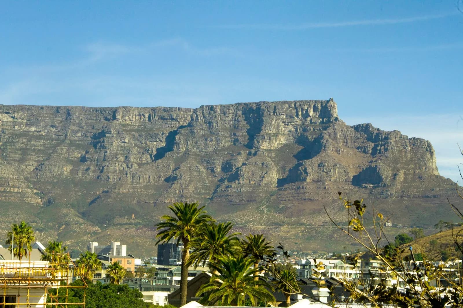 South Africa's Traveller Declaration